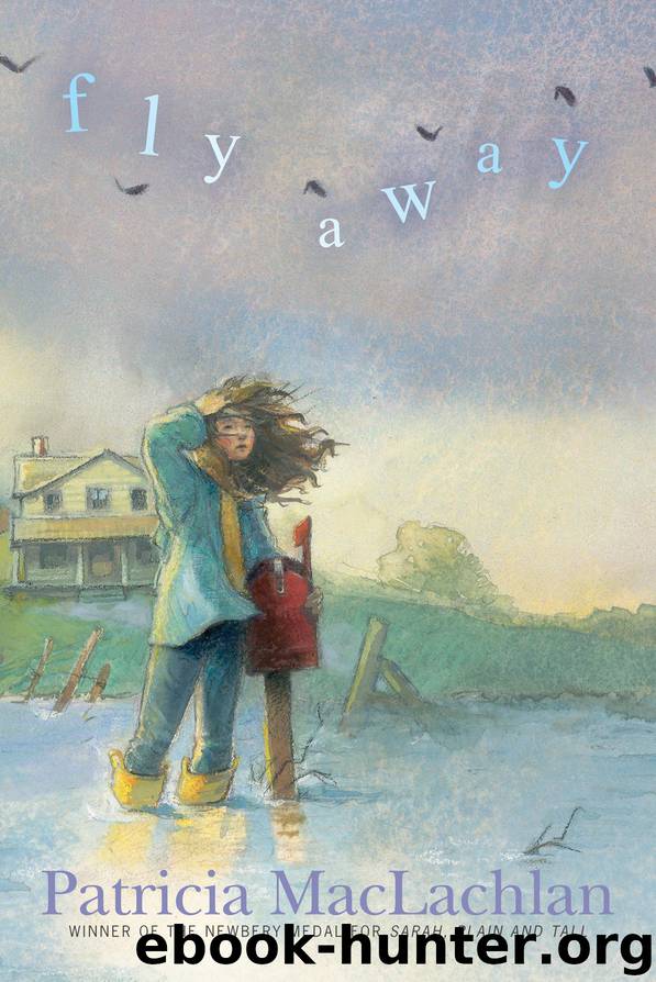 Fly Away by Patricia MacLachlan