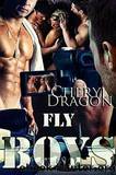 Fly Boys by Cheryl Dragon