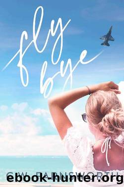 Fly Bye by C.W. Farnsworth