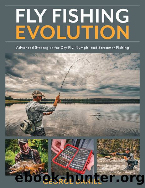 Fly Fishing Evolution by George Daniel