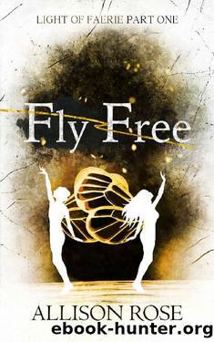 Fly Free (Light of Faerie Book 1) by Allison Rose