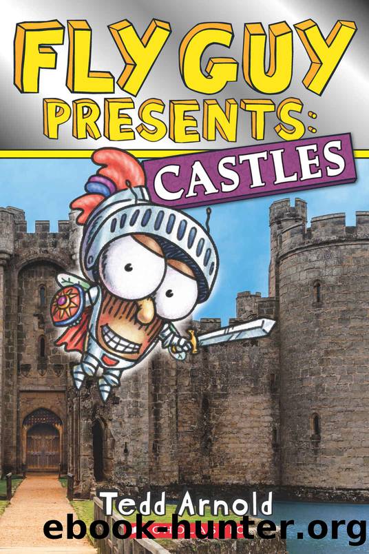 Fly Guy Presents: Castles (Scholastic Reader, Level 2) by Tedd Arnold