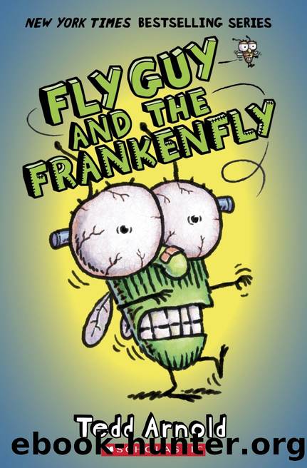 Fly Guy and the Frankenfly (Fly Guy #13) by Tedd Arnold