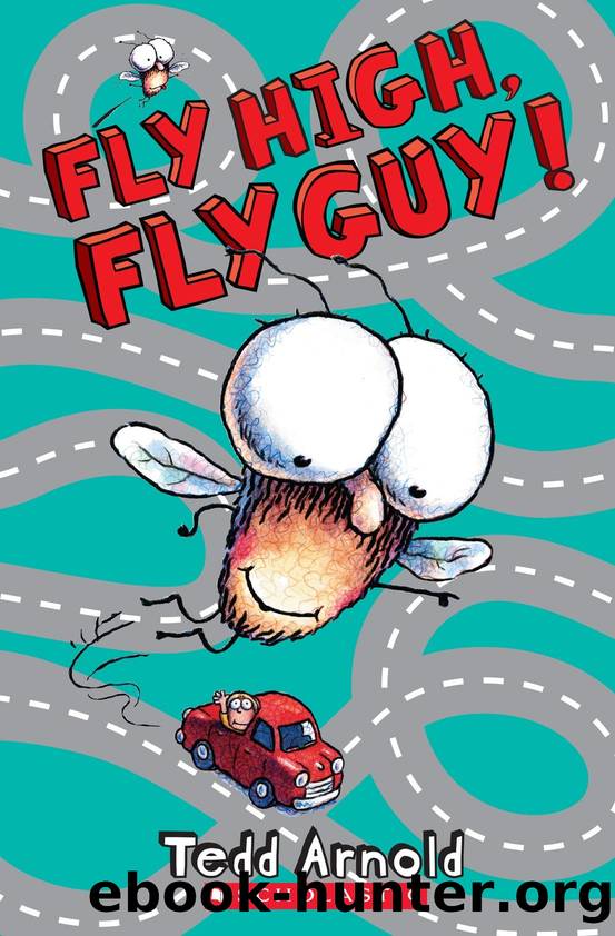 Fly High, Fly Guy! (Fly Guy #5) by Tedd Arnold