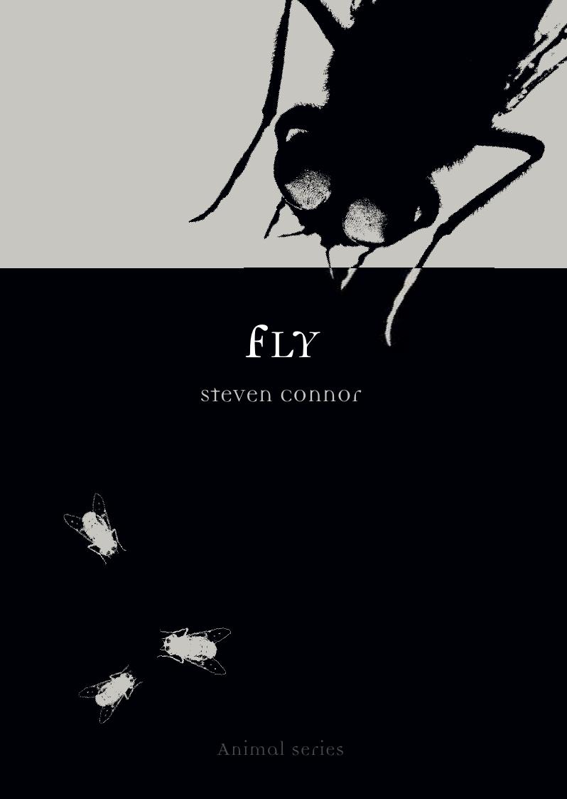 Fly by Steven Connor