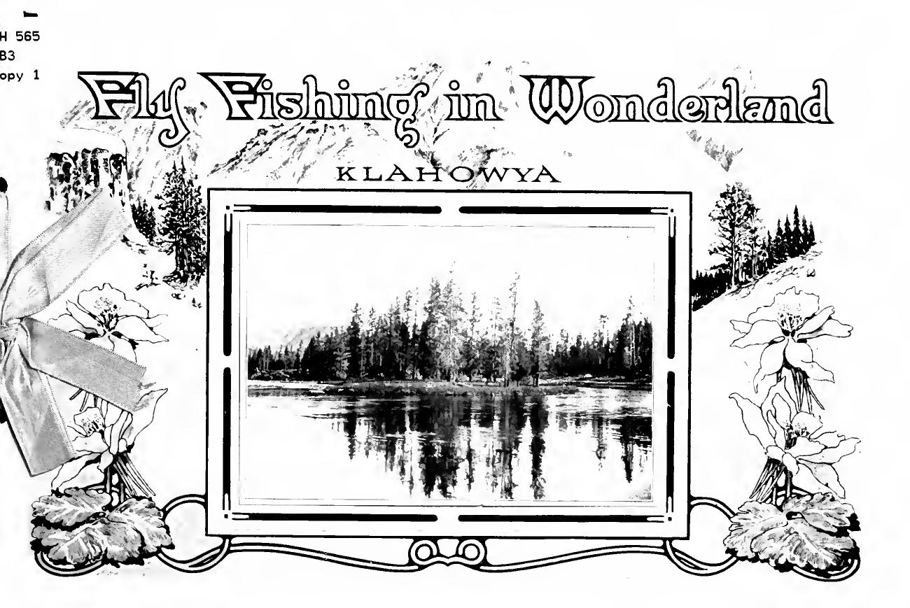 Fly fishing in wonderland by [Barnes Orange Perry] 1858- [from old catalog]