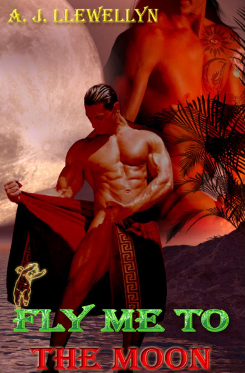Fly me to the Moon: A sEXtacular Christmas Story by A.J. Llewellyn