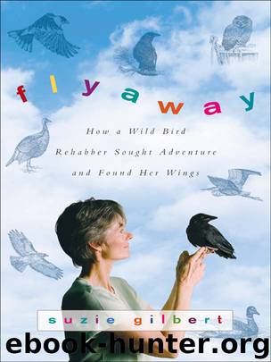 Flyaway by Suzie Gilbert