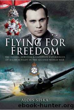 Flying For Freedom by Alois Siska