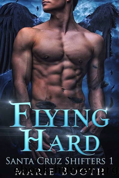 Flying Hard by Marie Booth