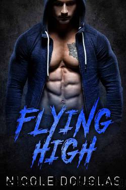 Flying High (Davis Brothers Book 2) by Nicole Douglas