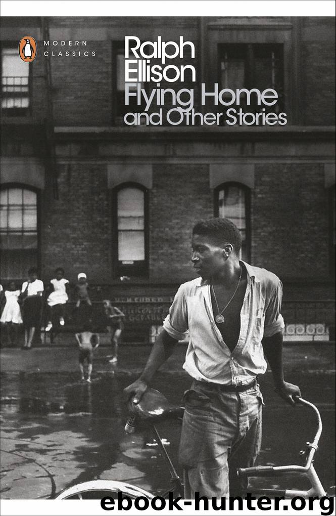 Flying Home and Other Stories by John Callahan