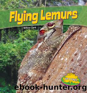 Flying Lemurs by Willow Clark