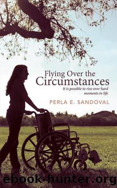 Flying Over the Circumstances by Perla E. Sandoval