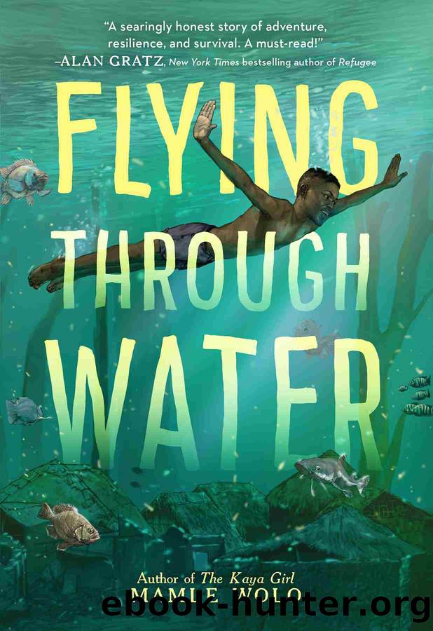 Flying Through Water by Mamle Wolo