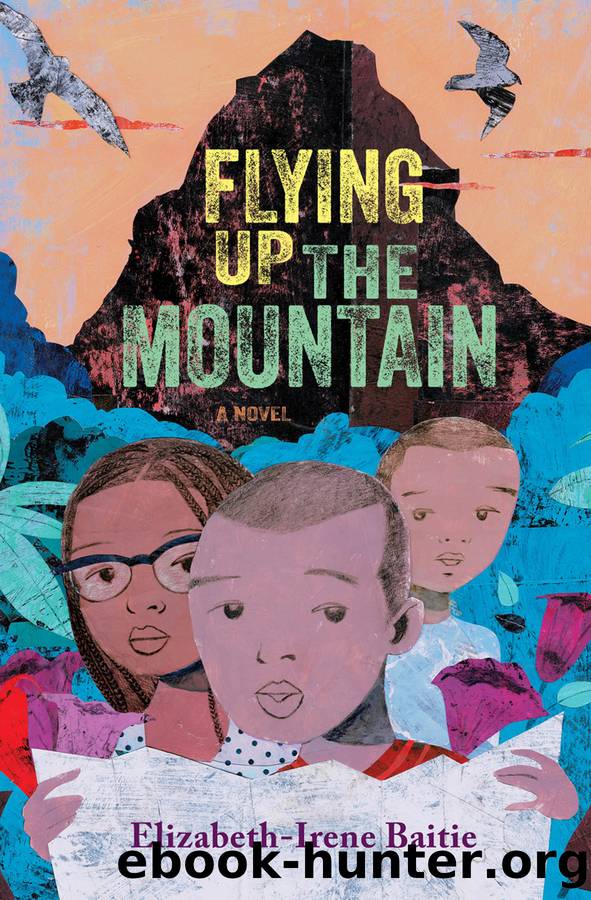 Flying Up the Mountain by Elizabeth-Irene Baitie