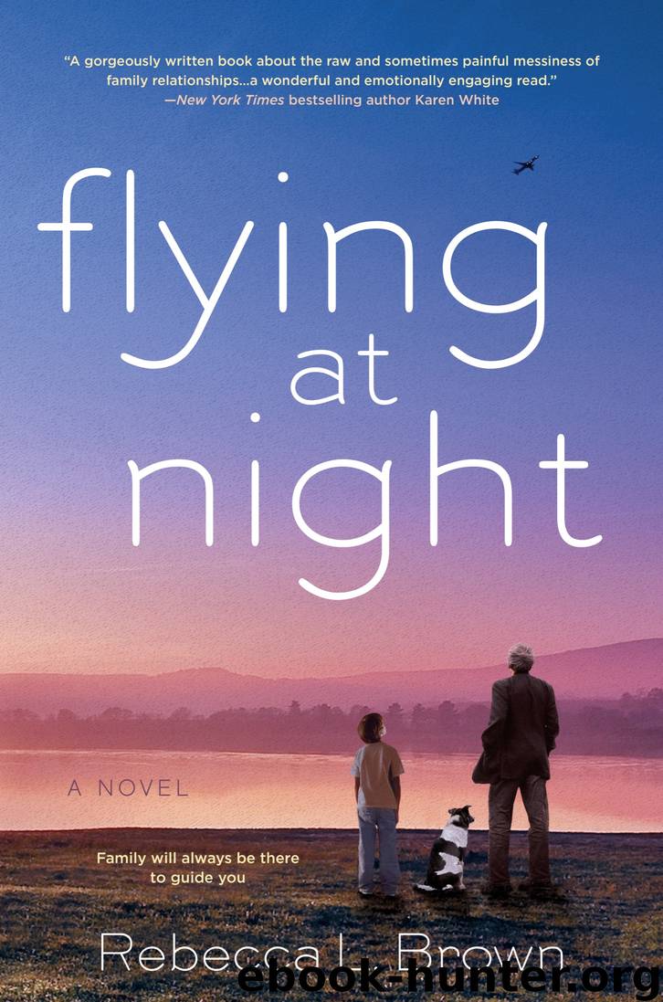 Flying at Night by Rebecca L. Brown