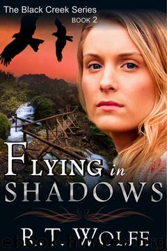 Flying in Shadows (The Black Creek Series, Book 2) by R.T. Wolfe
