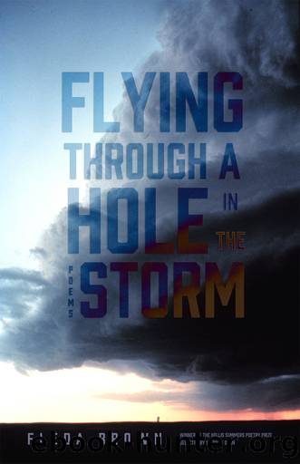 Flying through a Hole in the Storm by Fleda Brown