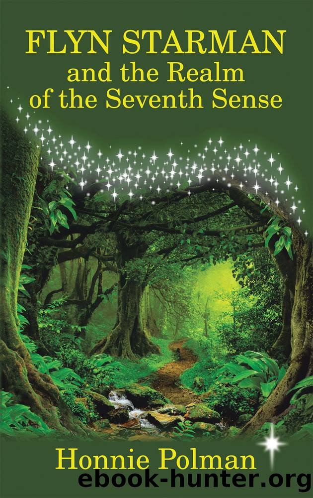 Flyn Starman and the Realm of the Seventh Sense by Honnie Polman