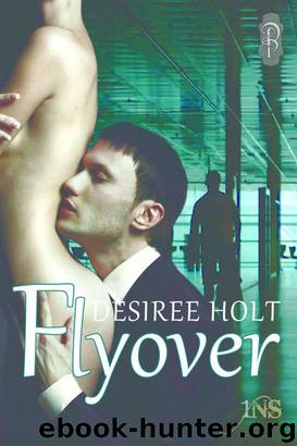 Flyover (1 Night Stand Series) by Holt Desiree