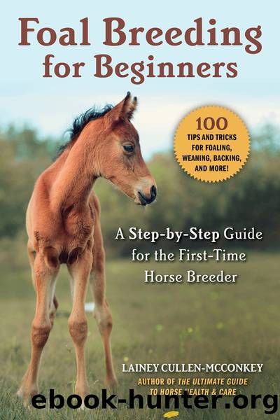 Foal Breeding for Beginners by Lainey Cullen-McConkey