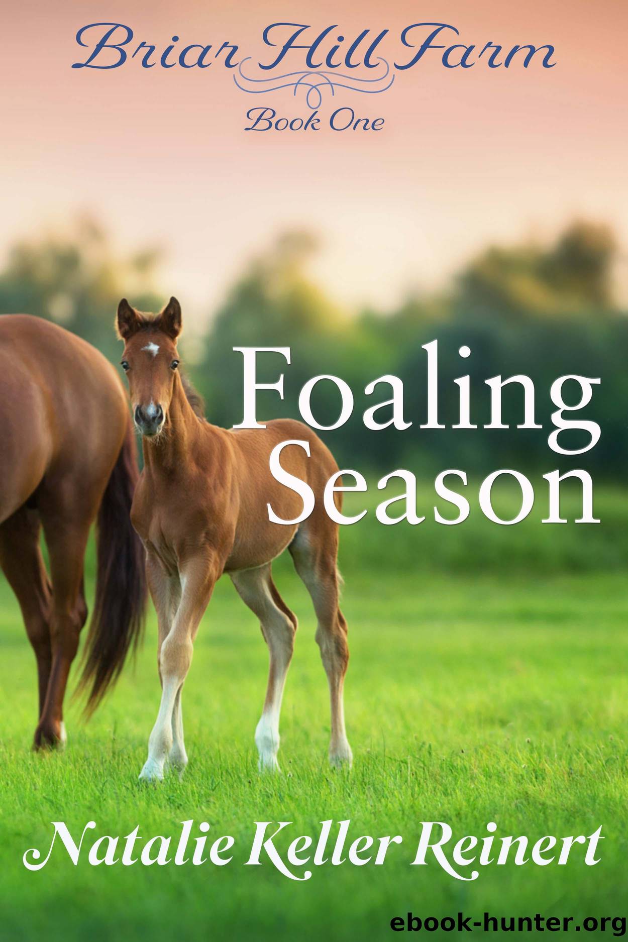 Foaling Season by Natalie Keller Reinert