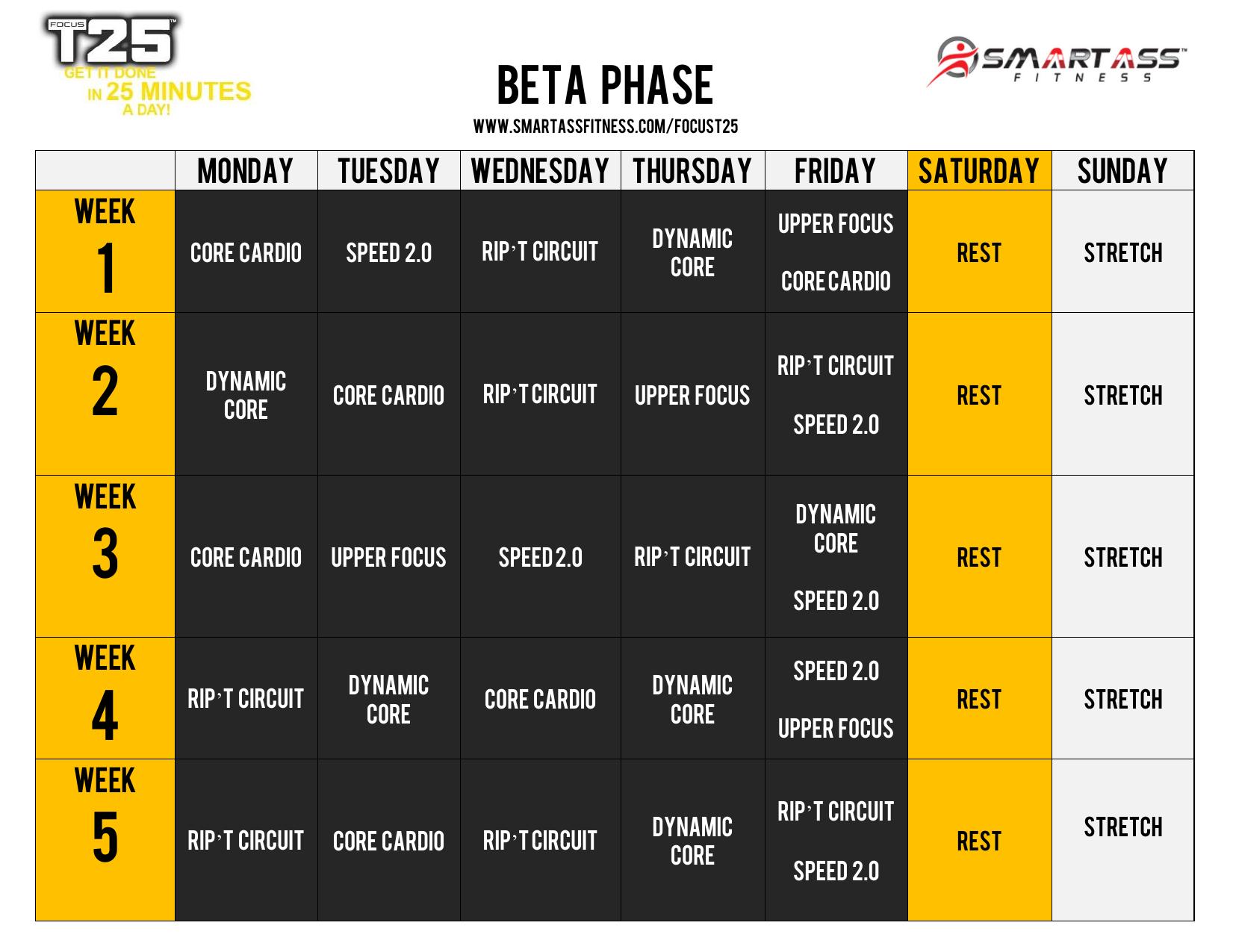 Focus T25 Beta Schedule by Miguel Carrasco