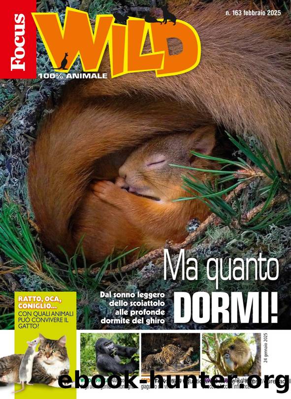 Focus Wild N.163 by Febbraio.2025