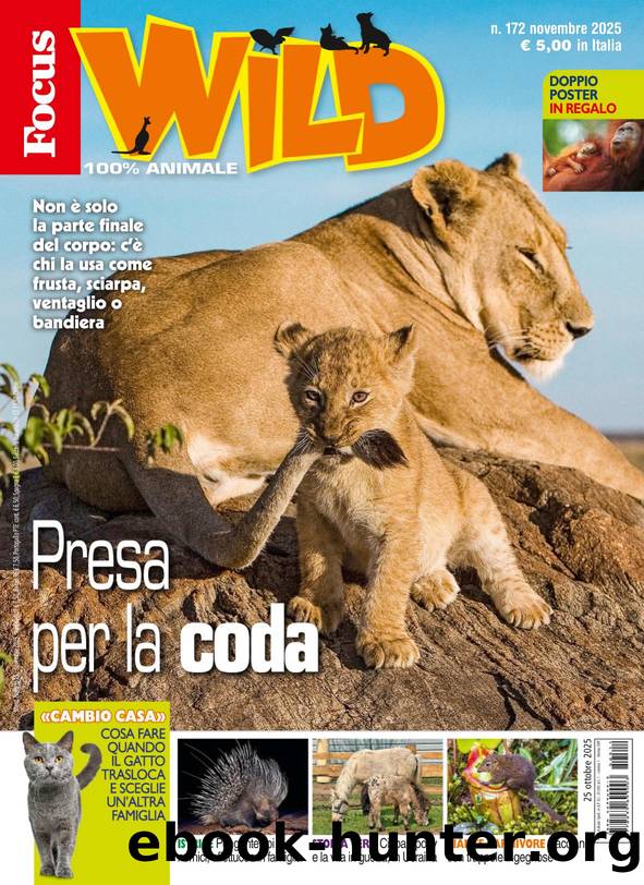 Focus Wild N.172 by Novembre 2025