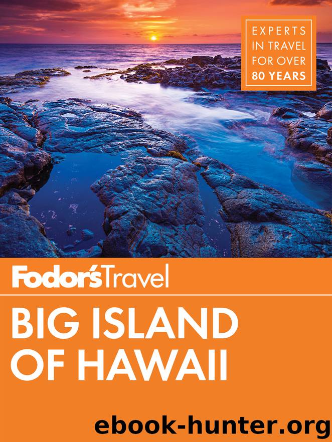 Fodor's Big Island of Hawaii by Fodor's Travel Guides