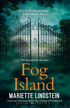 Fog Island by Mariette Lindstein