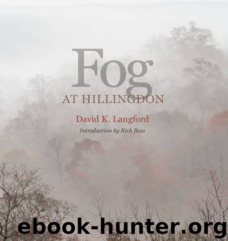 Fog at Hillingdon by David K. Langford