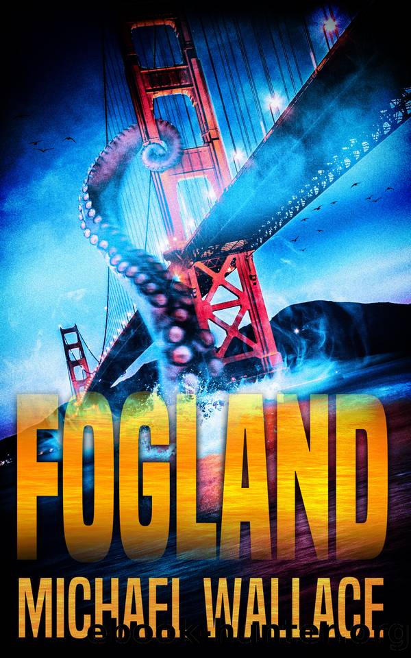 Fogland by Michael Wallace