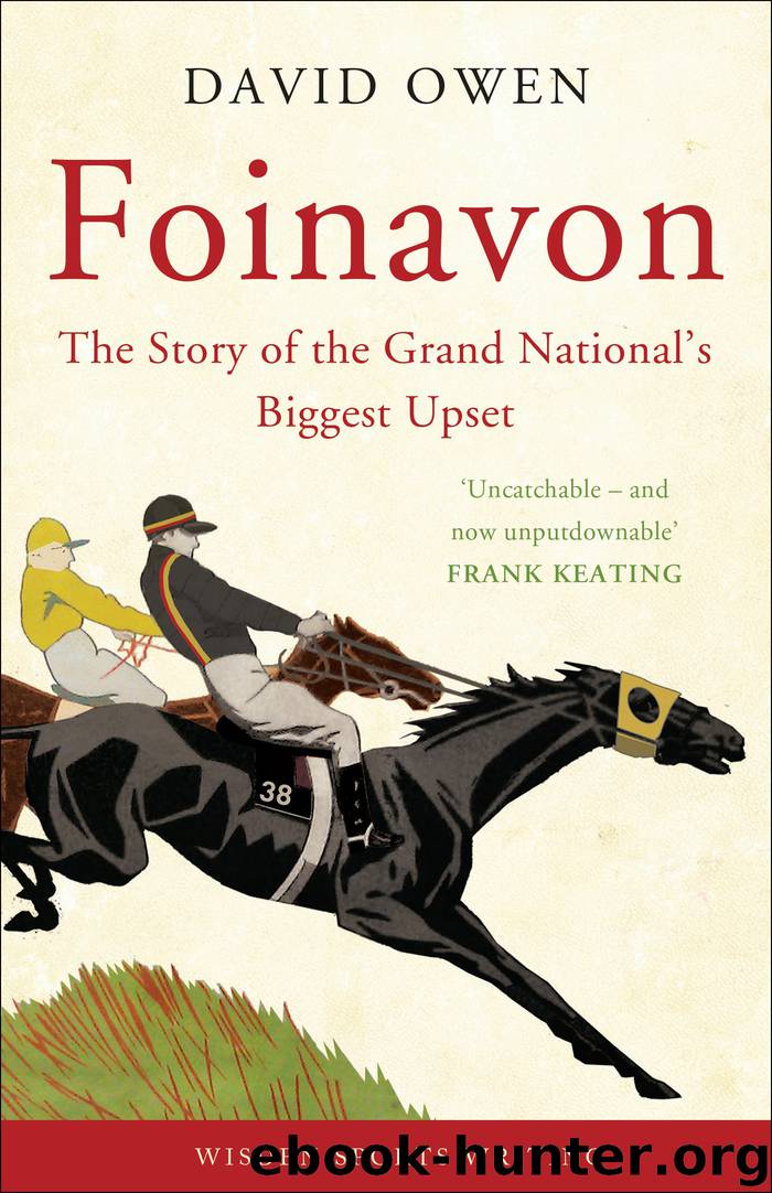 Foinavon by David Owen