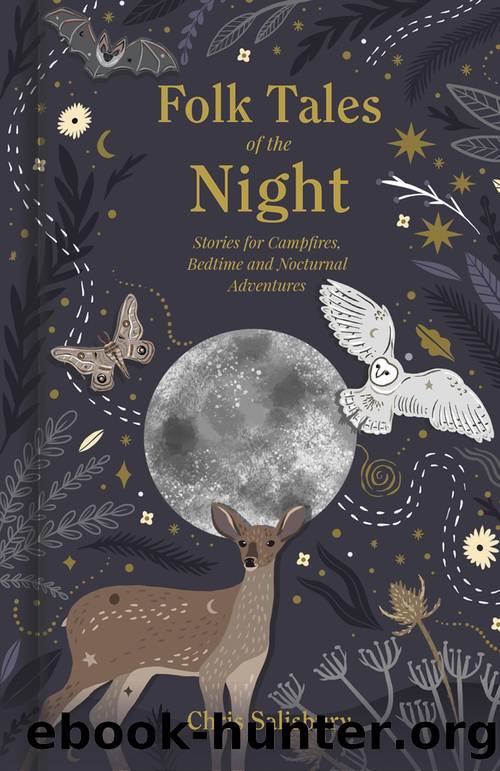Folk Tales of the Night by Chris Salisbury
