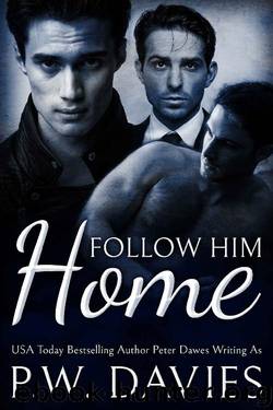 Follow Him Home (Alternate Worlds Book 1) by P. W. Davies
