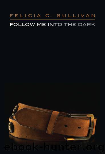 Follow Me into the Dark by Felicia C. Sullivan