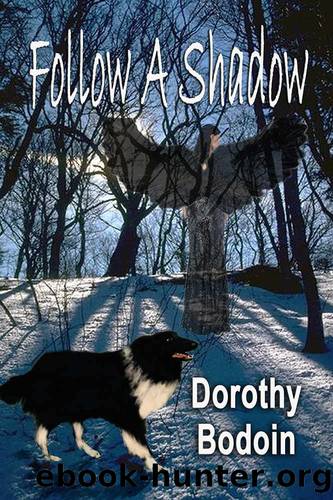 Follow a Shadow (The Foxglove Corners Series Book 14) by Dorothy Bodoin