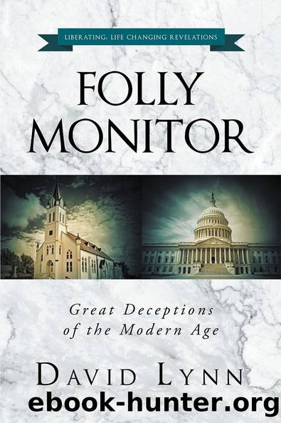 Folly Monitor by David Lynn
