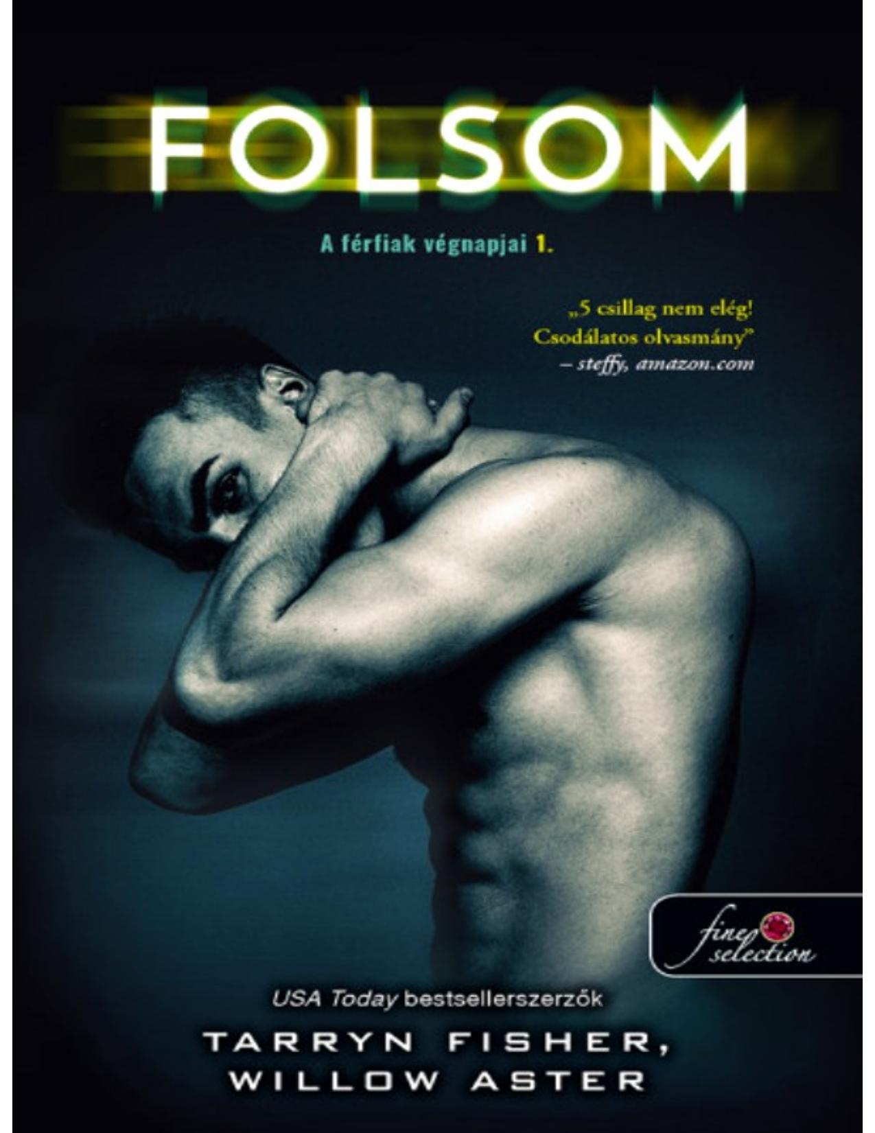 Folsom by Tarryn Fisher & Willow Aster