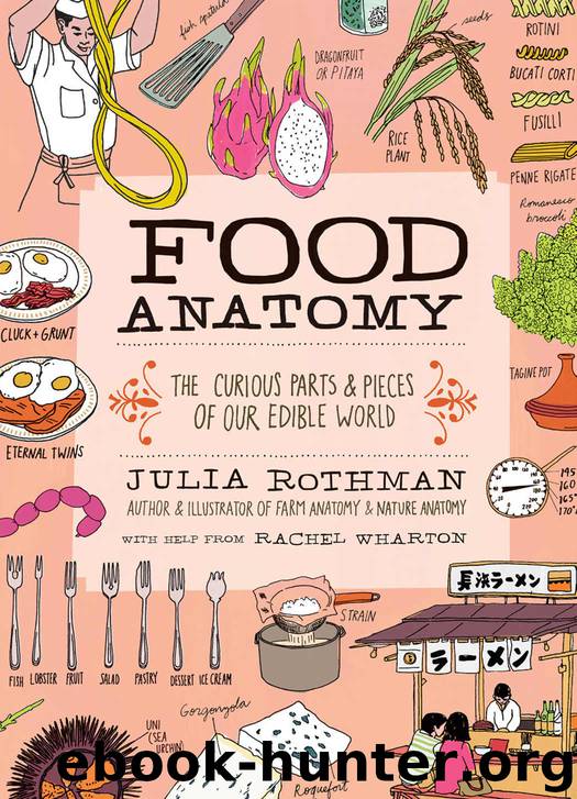Food Anatomy: The Curious Parts & Pieces of Our Edible World (Julia Rothman) by Julia Rothman