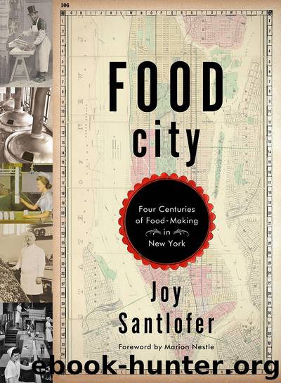 Food City by Joy Santlofer