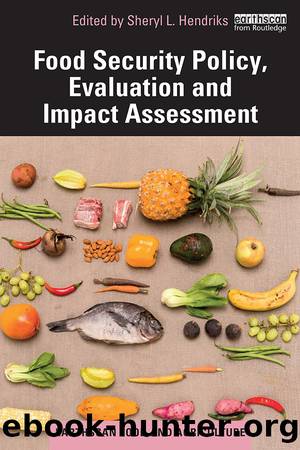 Food Security Policy, Evaluation and Impact Assessment; First Edition by Unknown