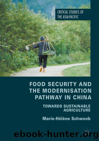 Food Security and the Modernisation Pathway in China by Marie-Hélène Schwoob
