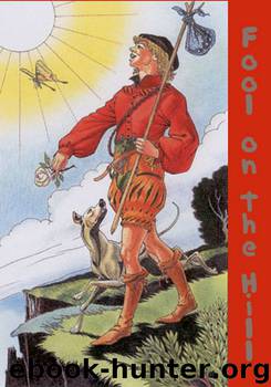 Fool on the Hill by Ruff Matt
