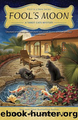 Fool's Moon by Diane A. S. Stuckart