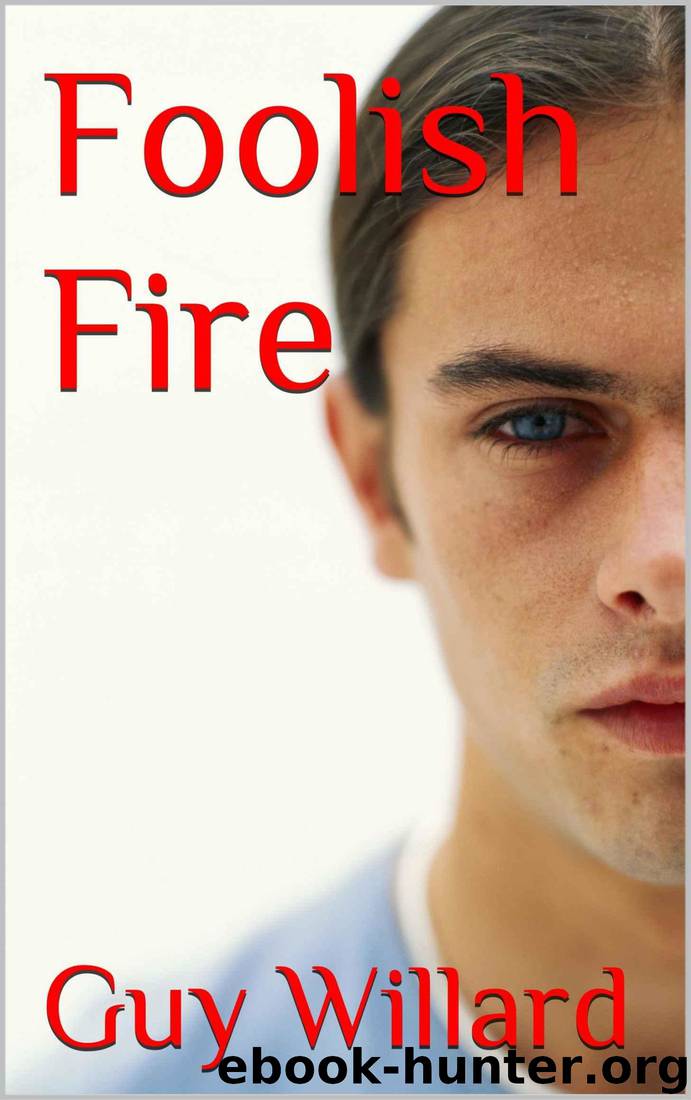 Foolish Fire by Willard Guy