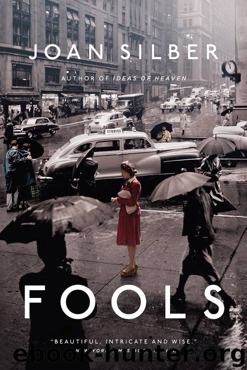 Fools by Joan Silber