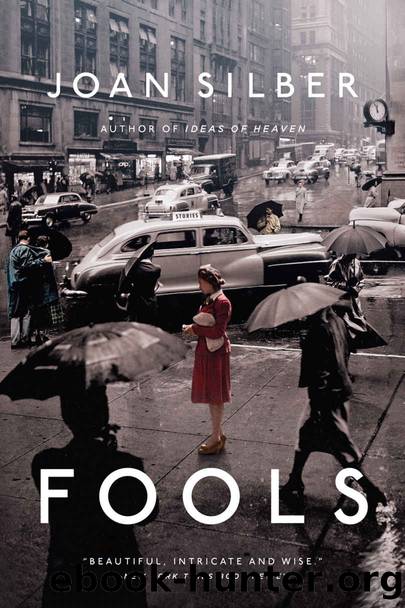 Fools: Stories by Joan Silber